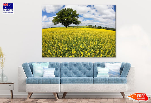 Alone Tree in Yellow Flower Field Print 100% Australian Made Stretched Canvas Ready to Hang - 1735