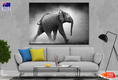 Baby Elephant B&W View Photograph Print 100% Australian Made Stretched Canvas Ready to Hang - 1257