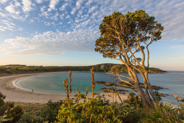 Maitai Bay & Sandy Beach View Print 100% Australian Made Stretched Canvas Ready to Hang - 1406