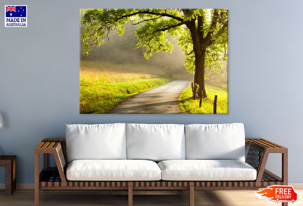 Sunlight Through Tree on a Road Print 100% Australian Made Stretched Canvas Ready to Hang - 1737