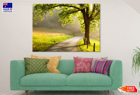 Sunlight Through Tree on a Road Print 100% Australian Made Stretched Canvas Ready to Hang - 1737