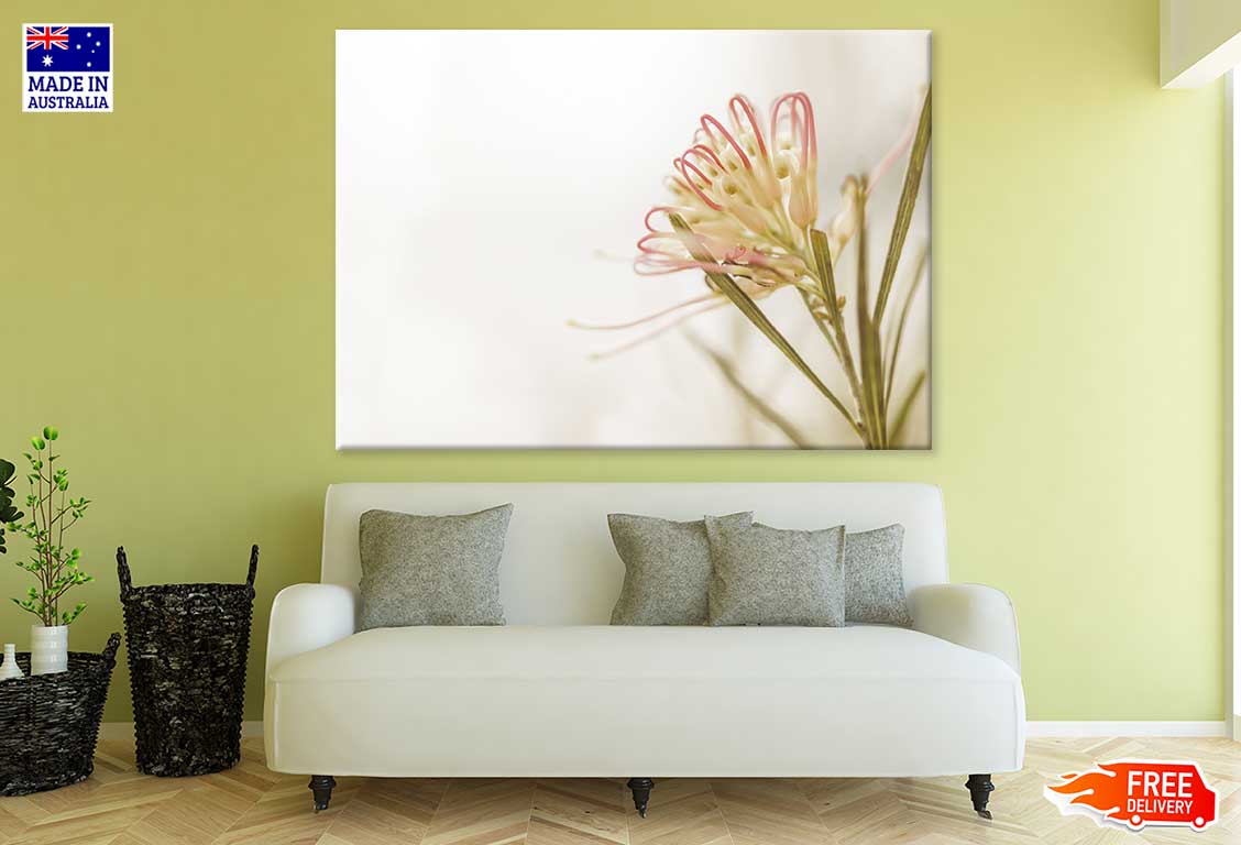 Australian Grevillea Flower View Print 100% Australian Made Stretched Canvas Ready to Hang - 1608