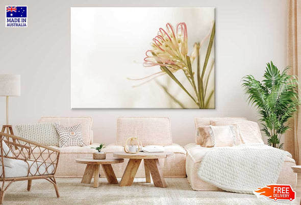 Australian Grevillea Flower View Print 100% Australian Made Stretched Canvas Ready to Hang - 1608