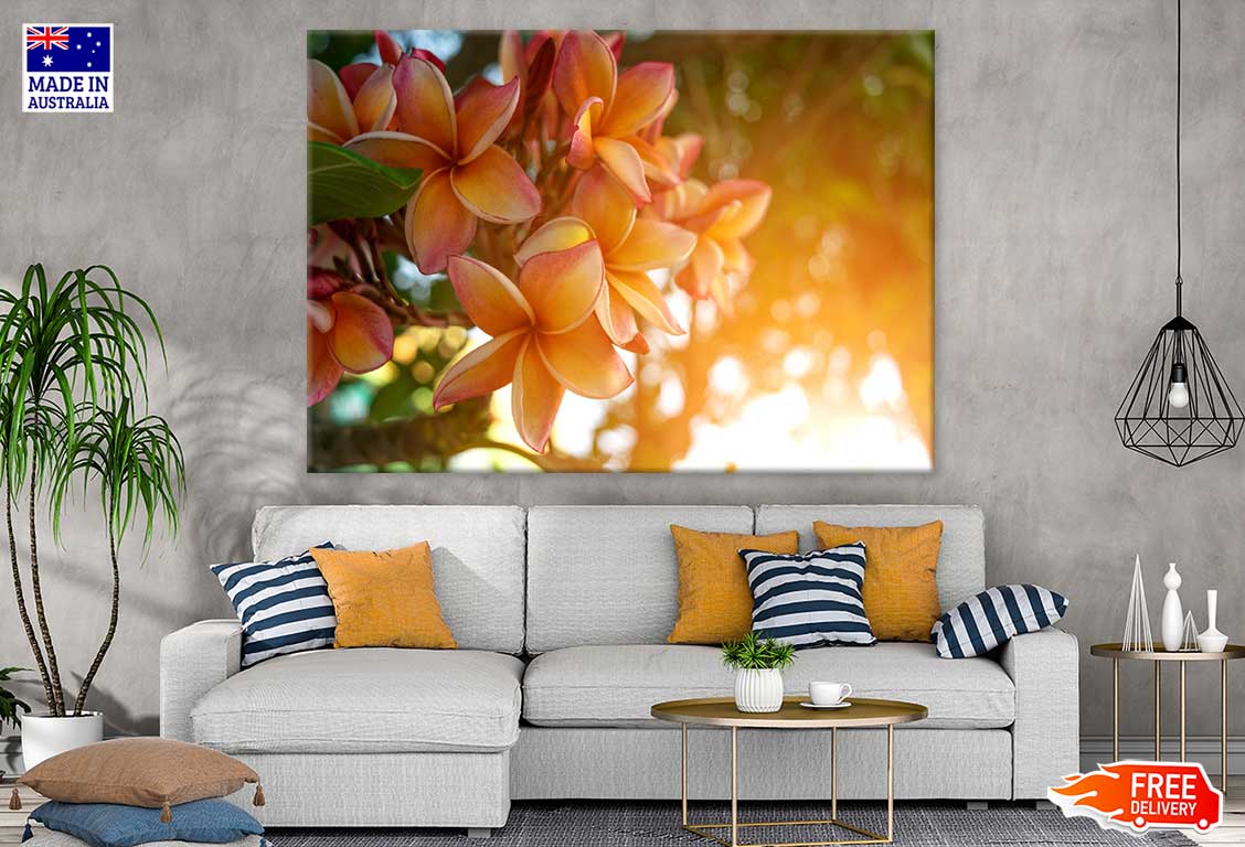 Yellow Plumeria Flowers Sunset Print 100% Australian Made Stretched Canvas Ready to Hang - 1609