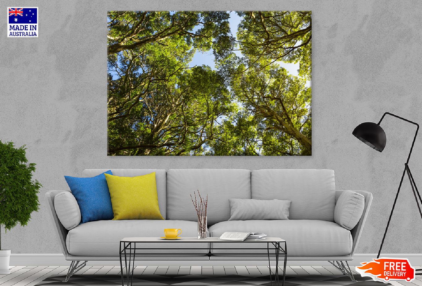 Beech Forest Trees Tops View Print 100% Australian Made Stretched Canvas Ready to Hang - 1738