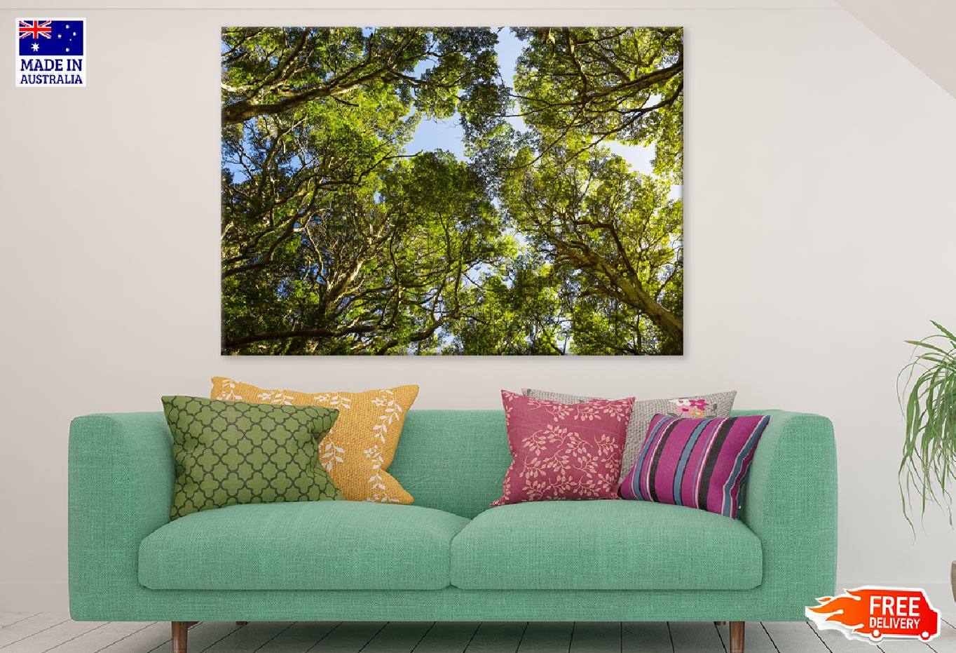 Beech Forest Trees Tops View Print 100% Australian Made Stretched Canvas Ready to Hang - 1738