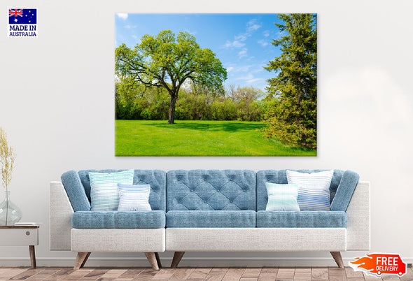 Blue Sky & Green Grass with Trees Print 100% Australian Made Stretched Canvas Ready to Hang - 1739