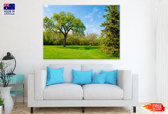 Blue Sky & Green Grass with Trees Print 100% Australian Made Stretched Canvas Ready to Hang - 1739