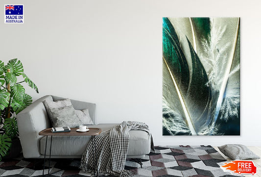 Bird Feather Closeup Photograph Print 100% Australian Made Stretched Canvas Ready to Hang - 1961