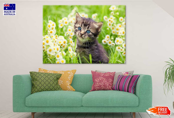 Little Kitten in Flowers View Print 100% Australian Made Stretched Canvas Ready to Hang - 1207