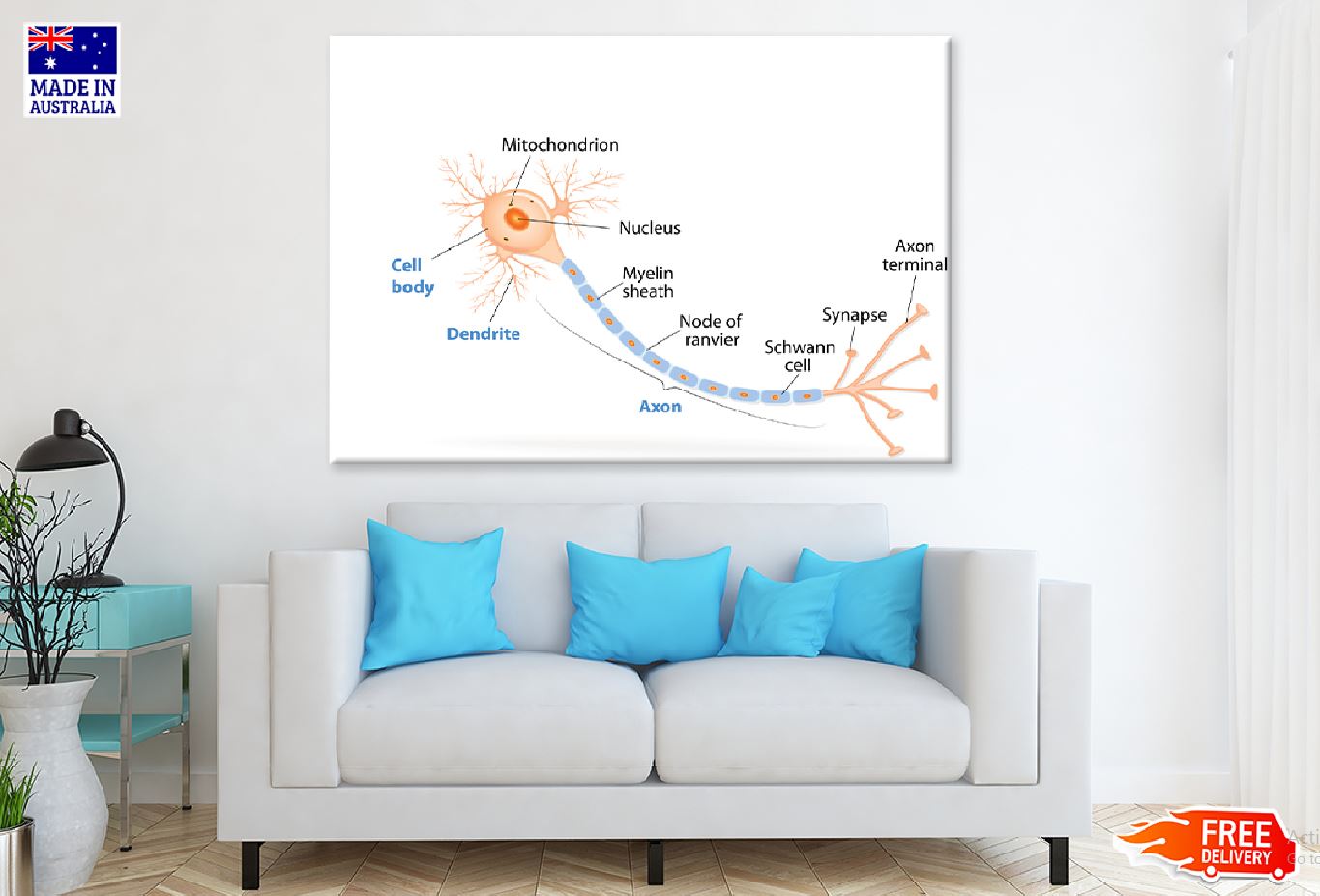 Human Cell Dendrite & Axon Vector Print 100% Australian Made Stretched Canvas Ready to Hang - 2390