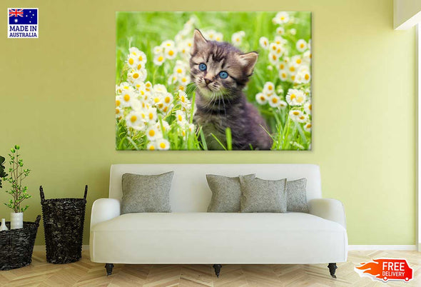 Little Kitten in Flowers View Print 100% Australian Made Stretched Canvas Ready to Hang - 1207