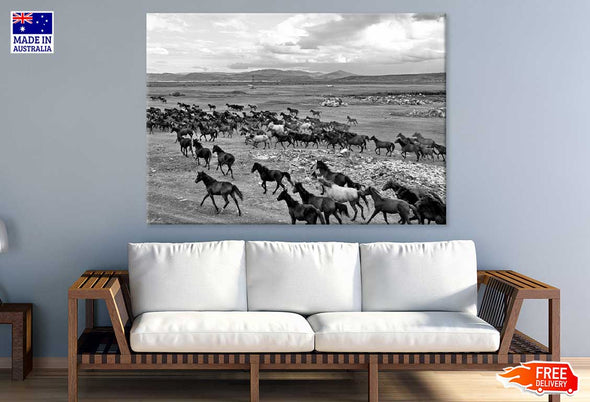 Wild Horse Herd View Photograph Print 100% Australian Made Stretched Canvas Ready to Hang - 1262