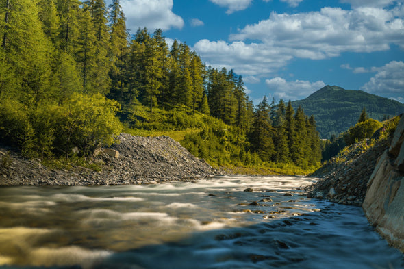 Tranquil River & Fir Trees View Print 100% Australian Made Stretched Canvas Ready to Hang - 1062