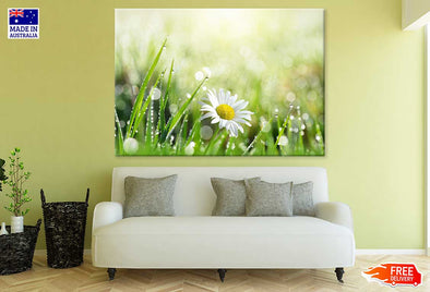 White Daisy Flower with Leaves Print 100% Australian Made Stretched Canvas Ready to Hang - 1611