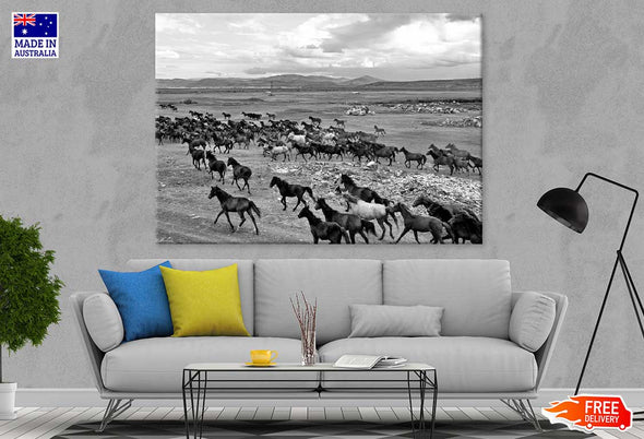 Wild Horse Herd View Photograph Print 100% Australian Made Stretched Canvas Ready to Hang - 1262