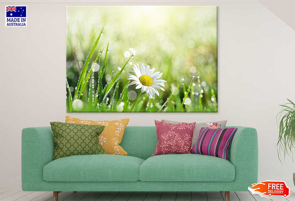 White Daisy Flower with Leaves Print 100% Australian Made Stretched Canvas Ready to Hang - 1611