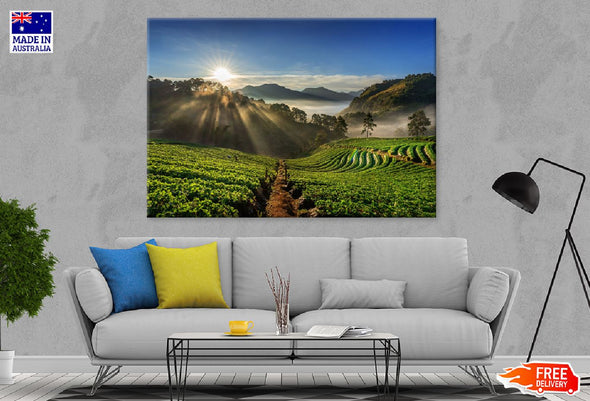 Strawberry Garden Hill Sunrise Print 100% Australian Made Stretched Canvas Ready to Hang - 1064