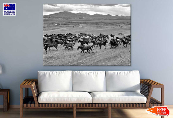 Wild Horse Herd On Field View Print 100% Australian Made Stretched Canvas Ready to Hang - 1263