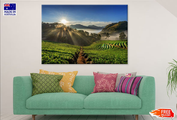 Strawberry Garden Hill Sunrise Print 100% Australian Made Stretched Canvas Ready to Hang - 1064