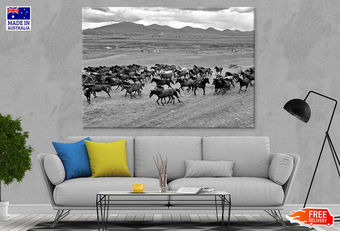 Wild Horse Herd On Field View Print 100% Australian Made Stretched Canvas Ready to Hang - 1263