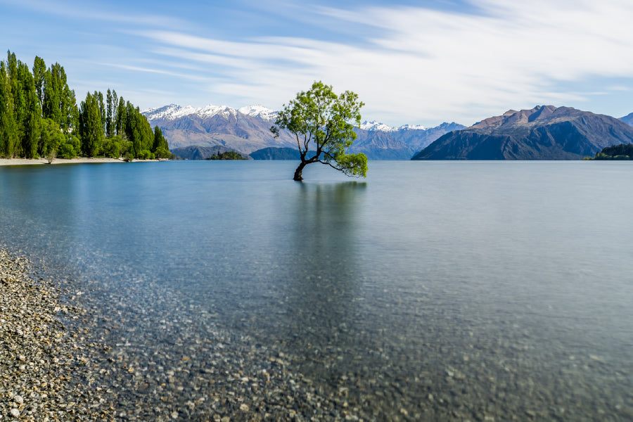 Alone Tree on Lake with Mountains Print 100% Australian Made Stretched Canvas Ready to Hang - 1741