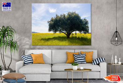 Lush Green Single Tree in Field Print 100% Australian Made Stretched Canvas Ready to Hang - 1742