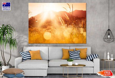 Summer Wheat Field Photograph Print 100% Australian Made Stretched Canvas Ready to Hang - 1613