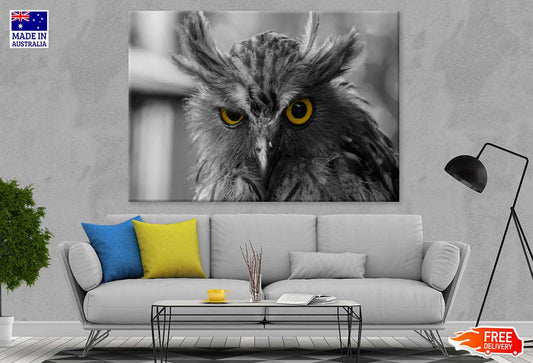 Yellow Eyed Owl B&W Photograph Print 100% Australian Made Stretched Canvas Ready to Hang - 1264