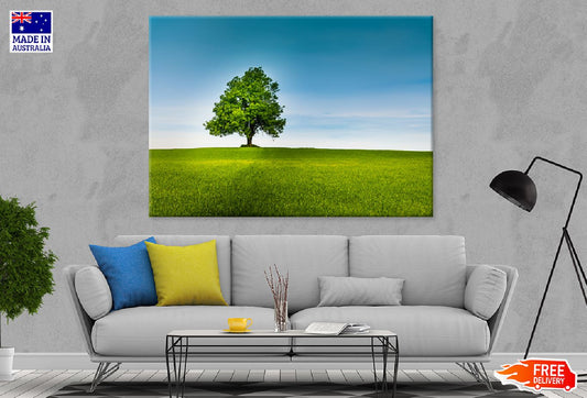 Alone Tree in Green Field & Sky Print 100% Australian Made Stretched Canvas Ready to Hang - 1743