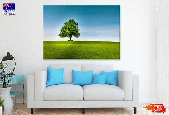 Alone Tree in Green Field & Sky Print 100% Australian Made Stretched Canvas Ready to Hang - 1743