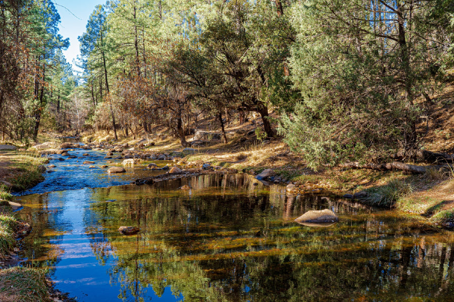 Sitgreaves National Forest River Print 100% Australian Made Stretched Canvas Ready to Hang - 1066