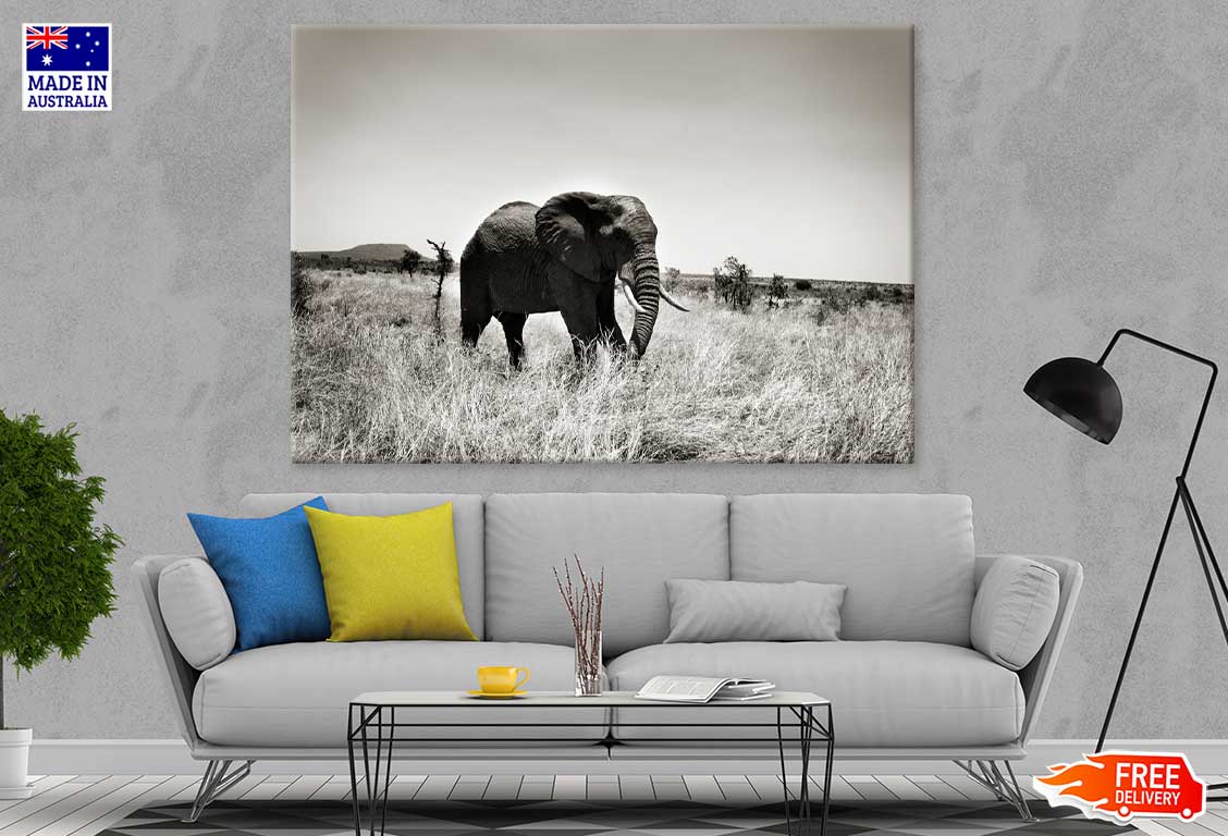 Elephant on Grass Field B&W View Print 100% Australian Made Stretched Canvas Ready to Hang - 1267