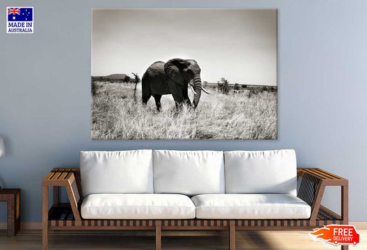 Elephant on Grass Field B&W View Print 100% Australian Made Stretched Canvas Ready to Hang - 1267