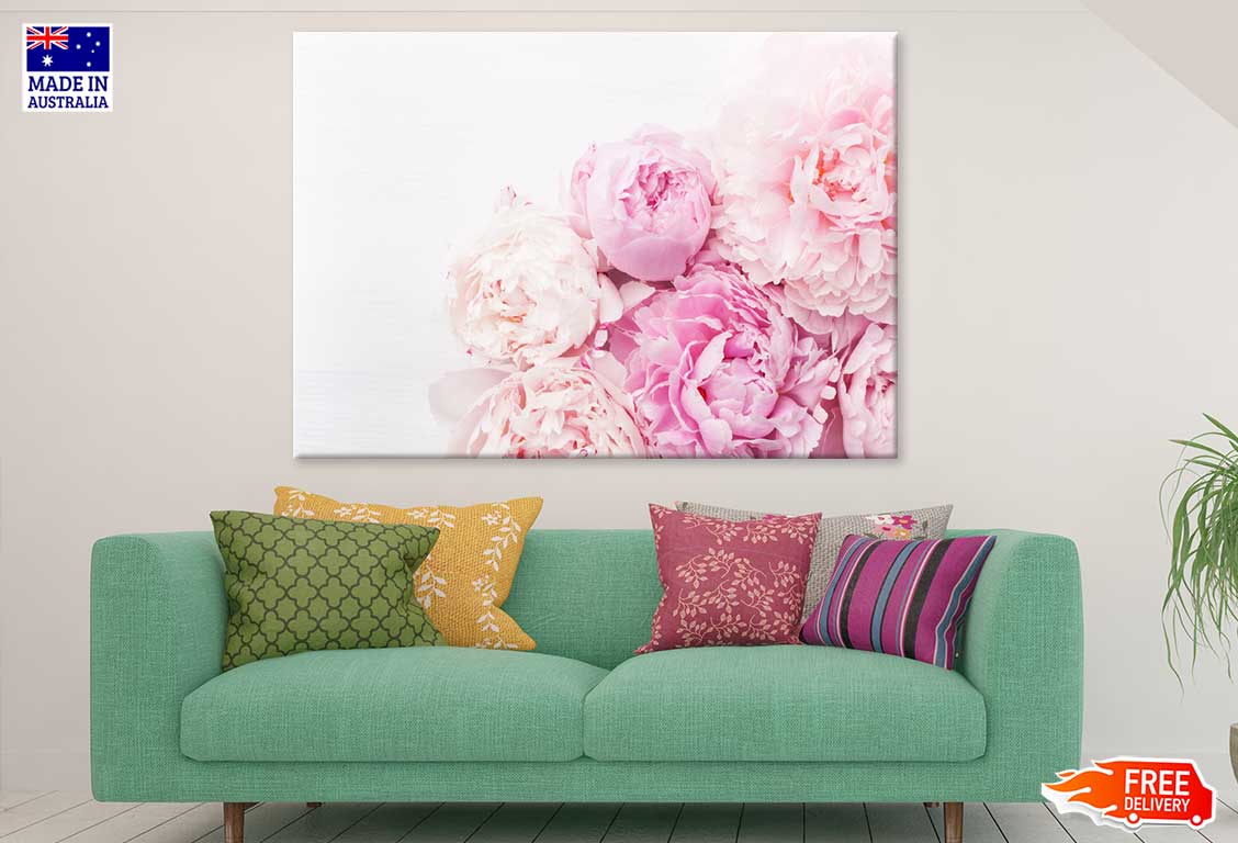 Pink Peony Flowers Closeup View Print 100% Australian Made Stretched Canvas Ready to Hang - 1617