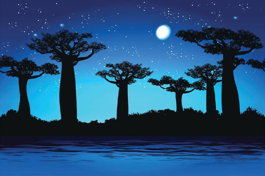 Baobab Trees at Night Vector Art Print 100% Australian Made Stretched Canvas Ready to Hang - 1746