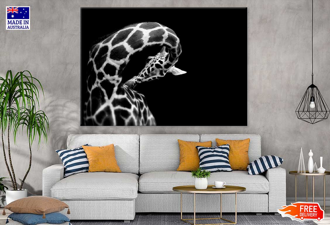 Giraffe B&W View Photograph Print 100% Australian Made Stretched Canvas Ready to Hang - 1269