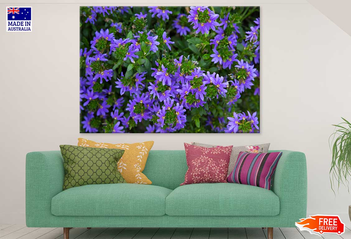 Purple Scaevola Flowers View Print 100% Australian Made Stretched Canvas Ready to Hang - 1618