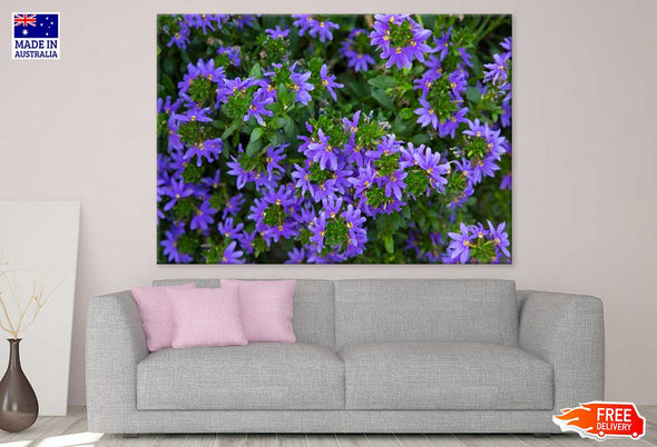 Purple Scaevola Flowers View Print 100% Australian Made Stretched Canvas Ready to Hang - 1618