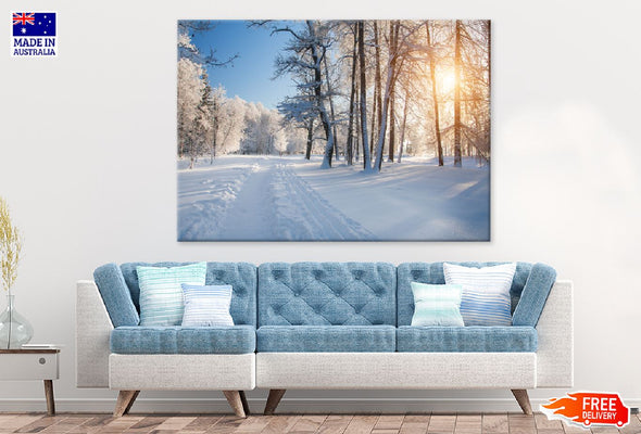 Snow Trees Pathway Sunset View Print 100% Australian Made Stretched Canvas Ready to Hang - 1748