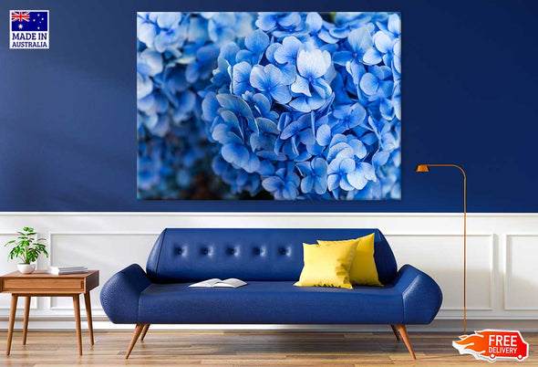 Blue Hydrangea Flower Photograph Print 100% Australian Made Stretched Canvas Ready to Hang - 1619