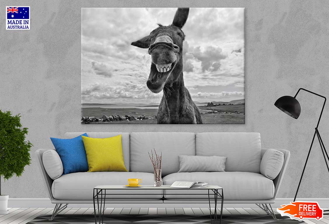 Donkey Face Closeup B&W View Print 100% Australian Made Stretched Canvas Ready to Hang - 1270