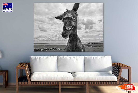 Donkey Face Closeup B&W View Print 100% Australian Made Stretched Canvas Ready to Hang - 1270