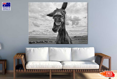 Donkey Face Closeup B&W View Print 100% Australian Made Stretched Canvas Ready to Hang - 1270