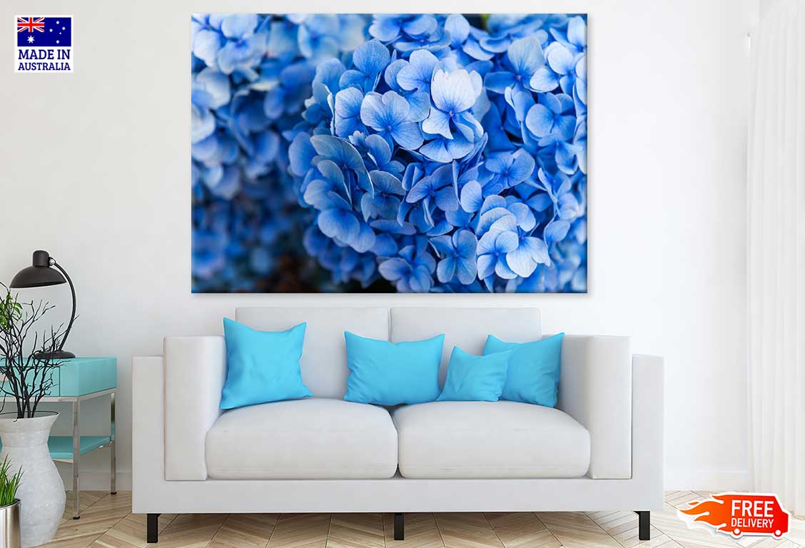 Blue Hydrangea Flower Photograph Print 100% Australian Made Stretched Canvas Ready to Hang - 1619