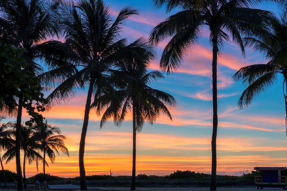 Miami Beach Palm Tree Sunset View Print 100% Australian Made Stretched Canvas Ready to Hang - 1418