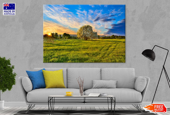 Apple Tree on Meadow at Sunset Print 100% Australian Made Stretched Canvas Ready to Hang - 1749