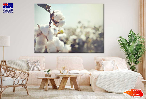 Combed Cotton Flower Photograph Print 100% Australian Made Stretched Canvas Ready to Hang - 1557