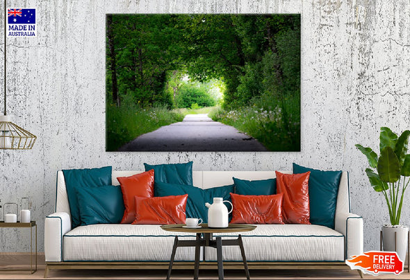 Green Trees Covered Road View Print 100% Australian Made Stretched Canvas Ready to Hang - 1008