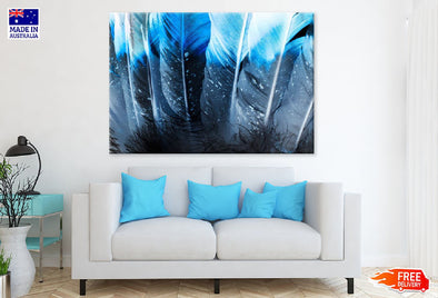 Black & Blue Feather Digital Art  Print 100% Australian Made Stretched Canvas Ready to Hang - 1889